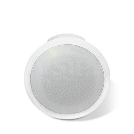 2N Net Speaker Flush-mounted Ceiling Speaker 2N Net Speaker Flush-mounted Ceiling Speaker